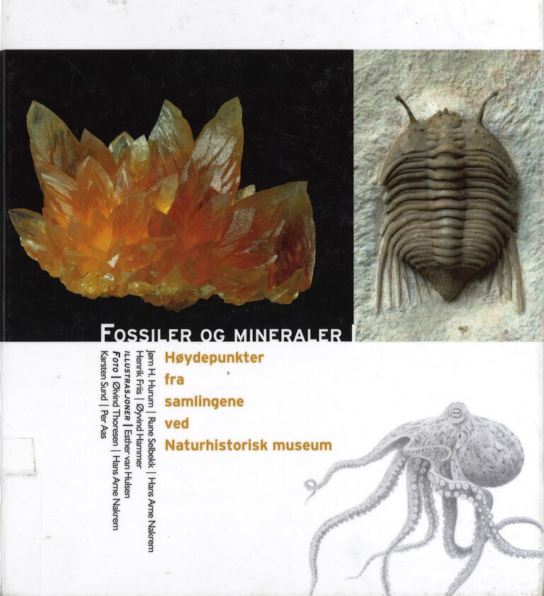 Fossiler og mineraler : Høydepunkter fra samlingene ved Naturhistorisk museum