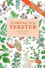 Forsidebilde