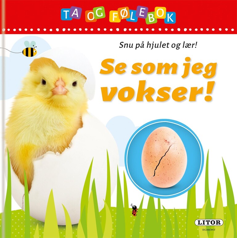 Forsidebilde