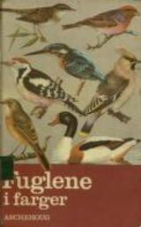 Forsidebilde