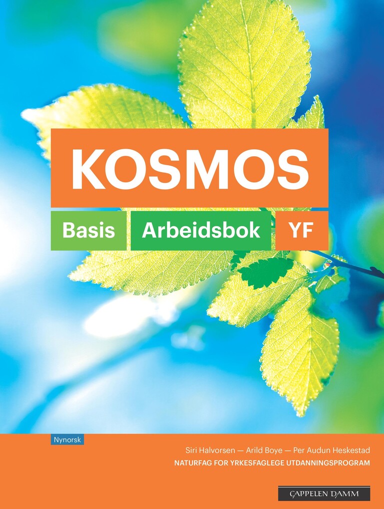 Forsidebilde