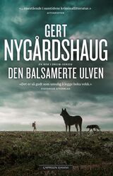 Omslagsbilde