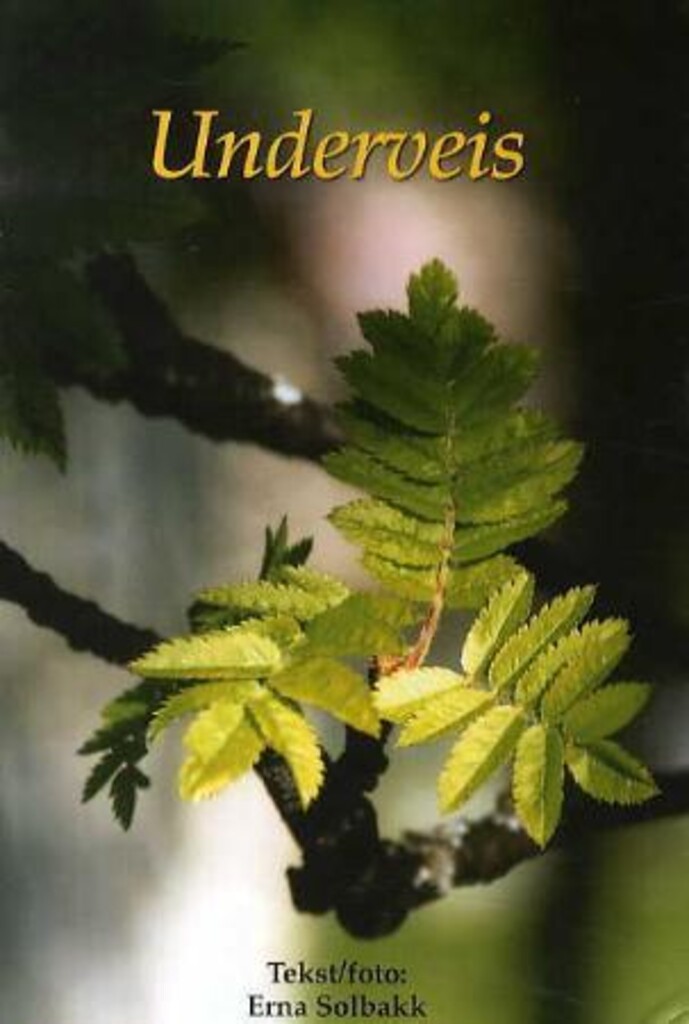 Forsidebilde