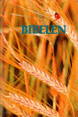 Omslagsbilde
