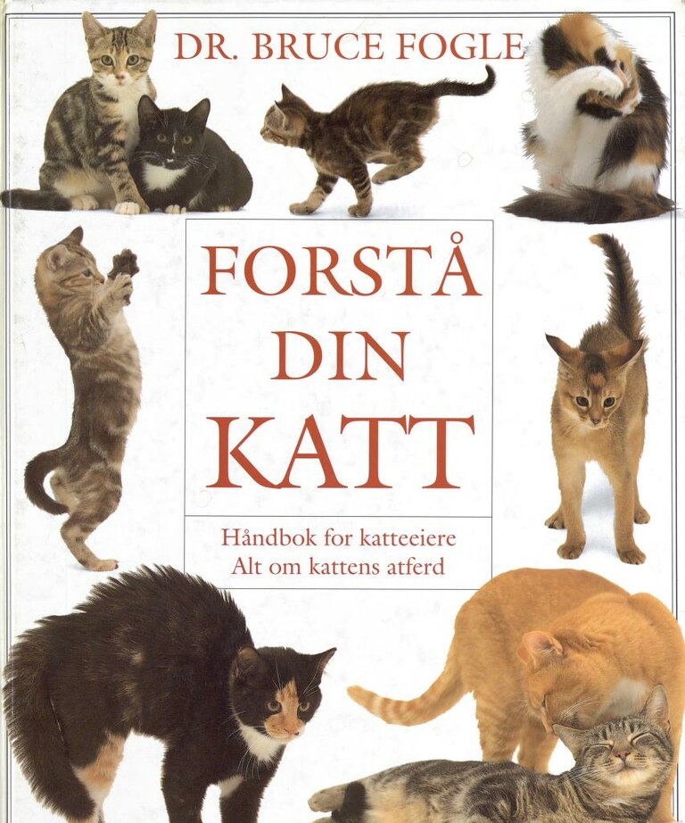 Forsidebilde