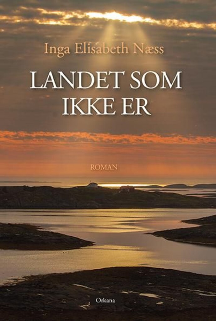 Landet som ikke er : roman