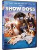 Cover photo:Show dogs
