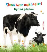 Forsidebilde