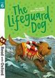 Cover photo:The lifeguard dog