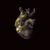 Omslagsbilde:Uranium heart