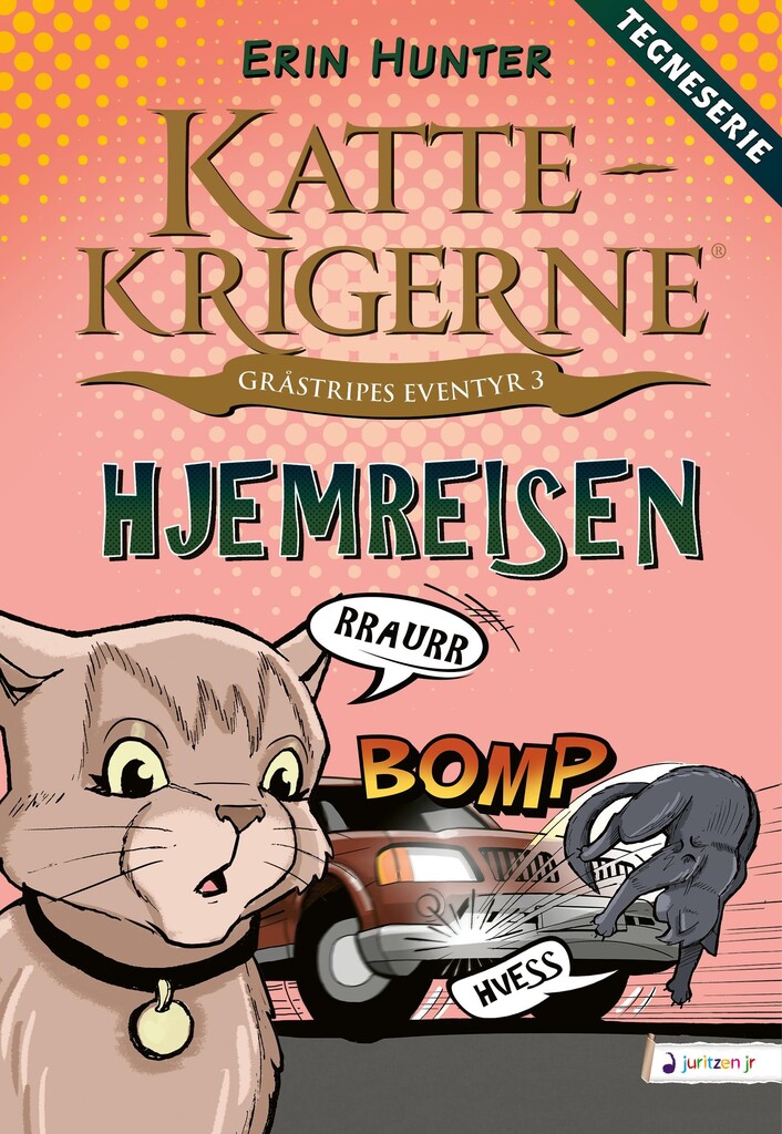 Hjemreisen