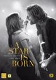 Cover photo:A star is born