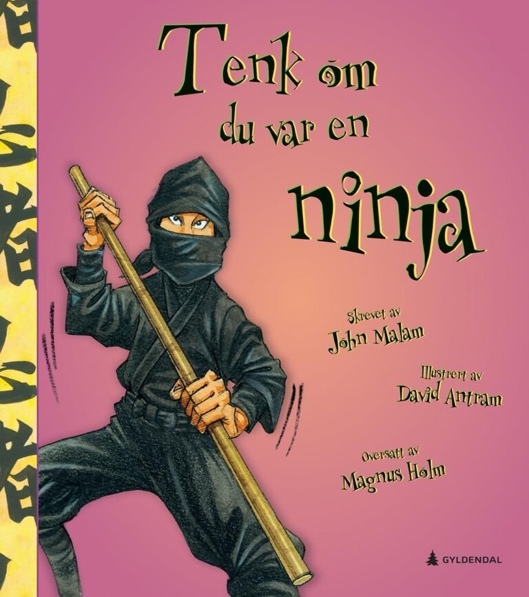 Tenk om du var en ninja