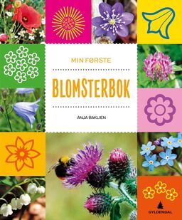 forsidebilde - trykk for å vise stor versjon
