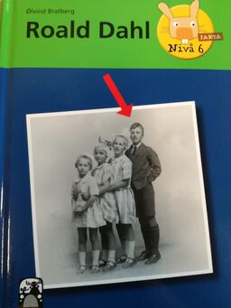 forsidebilde - trykk for å vise stor versjon
