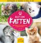 Cover photo:Alt om katten : din guide til en glad og kjærlig katt