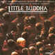 Omslagsbilde:Little Buddha : Music from the original motion picture soundtrack