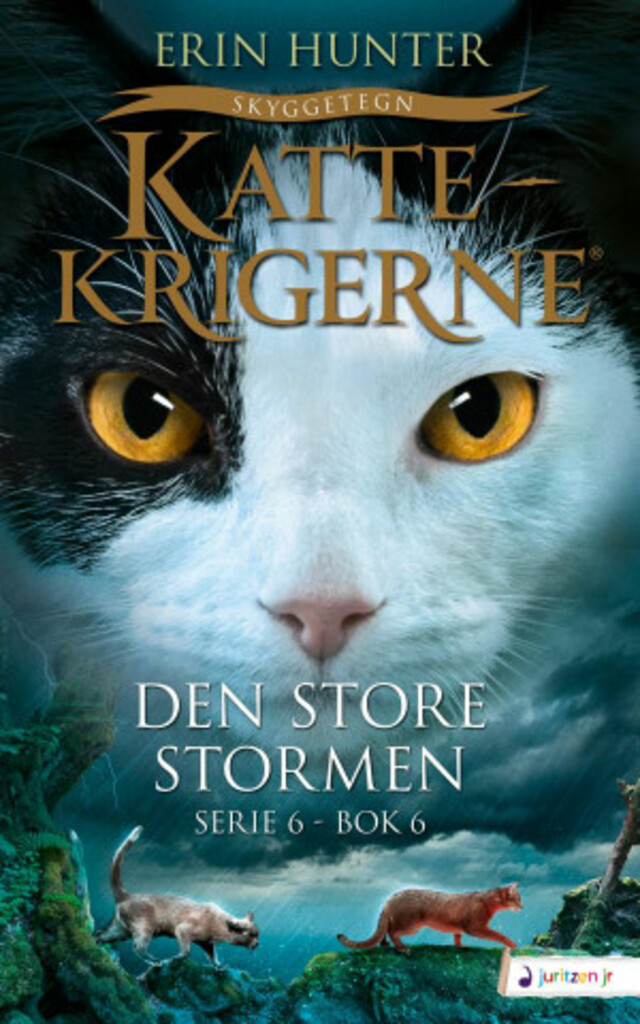 Den store stormen 36