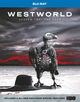 Omslagsbilde:Westworld: season 2: the door