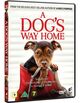 Cover photo:A dog's way home