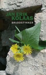 Omslagsbilde