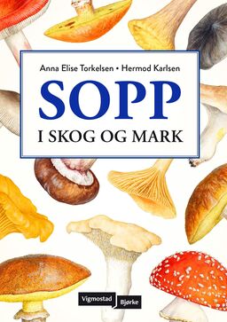forsidebilde - trykk for å vise stor versjon