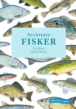 forsidebilde - trykk for å vise stor versjon