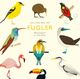 Omslagsbilde:En liten bok om fugler