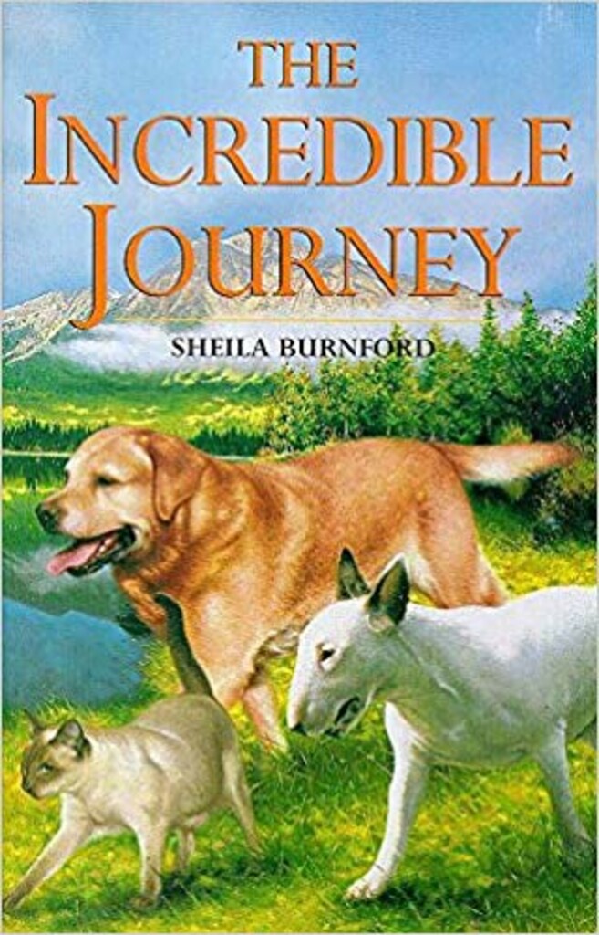 The incredible journey