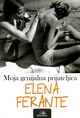 Omslagsbilde:Moja genialna prijateljica : Roman