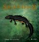 Cover photo:Salamander