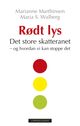 Omslagsbilde:Rødt lys : det store skatteranet og hvordan vi kan stoppe det