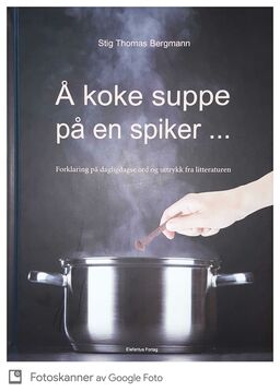 forsidebilde - trykk for å vise stor versjon