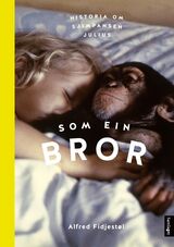 "Som ein bror : historia om sjimpansen Julius"