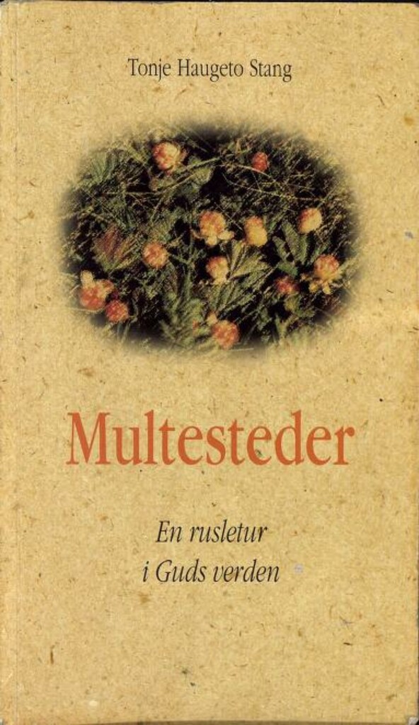 Forsidebilde