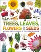 Omslagsbilde:Trees, leaves, flowers &amp; seeds : a visual encyclopedia of the plant kingdom