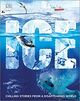 Omslagsbilde:Ice : chilling stories from a disappearing world
