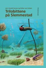 Omslagsbilde