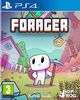 Cover photo:Forager