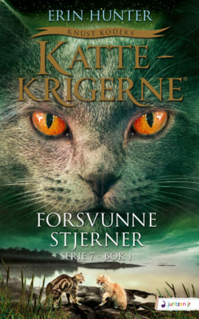 Forsvunne stjerner 37