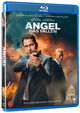 Omslagsbilde:Angel has fallen