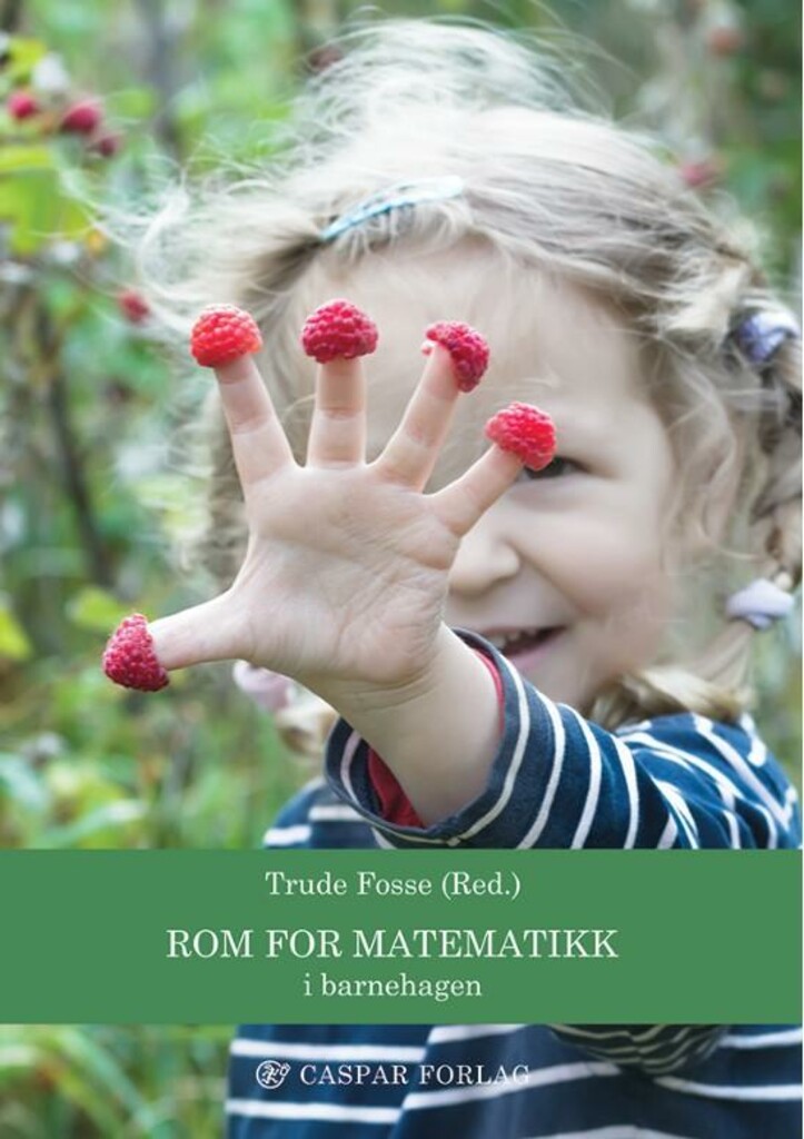 Rom for matematikk - i barnehagen