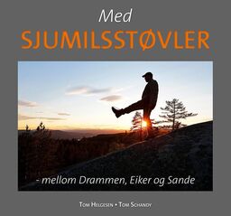 forsidebilde - trykk for å vise stor versjon
