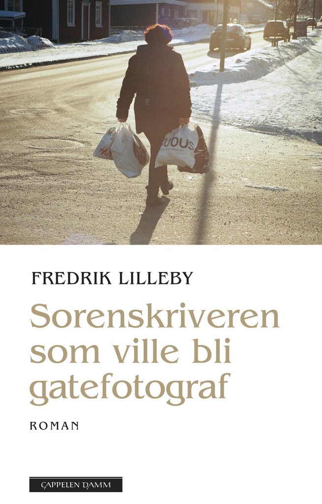 Sorenskriveren som ville bli gatefotograf : roman