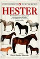 Cover photo:Hester
