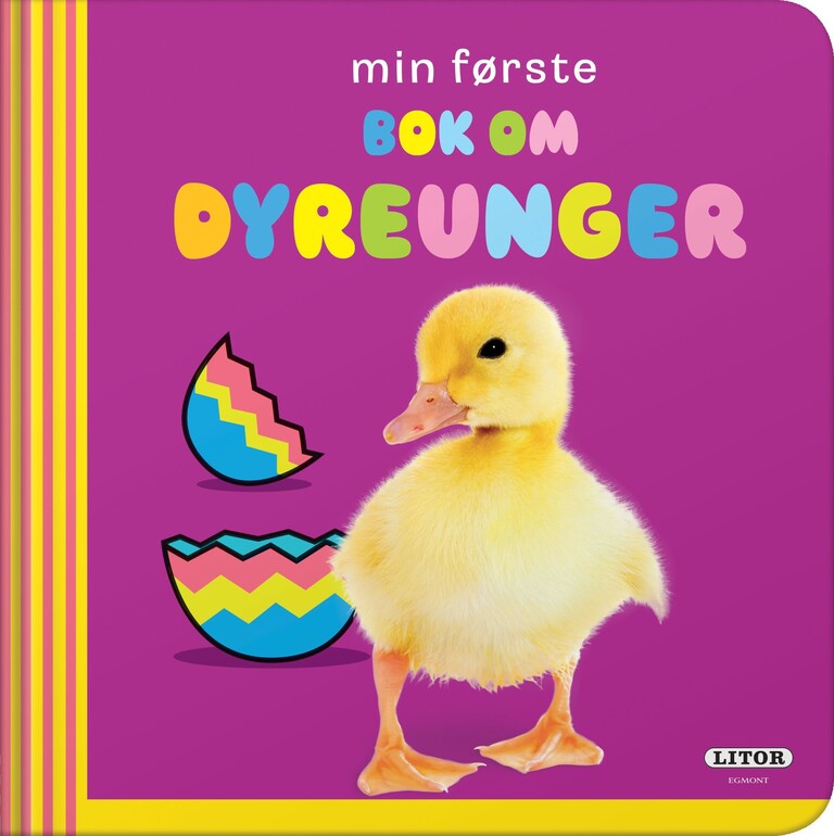 Forsidebilde