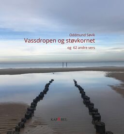 forsidebilde - trykk for å vise stor versjon