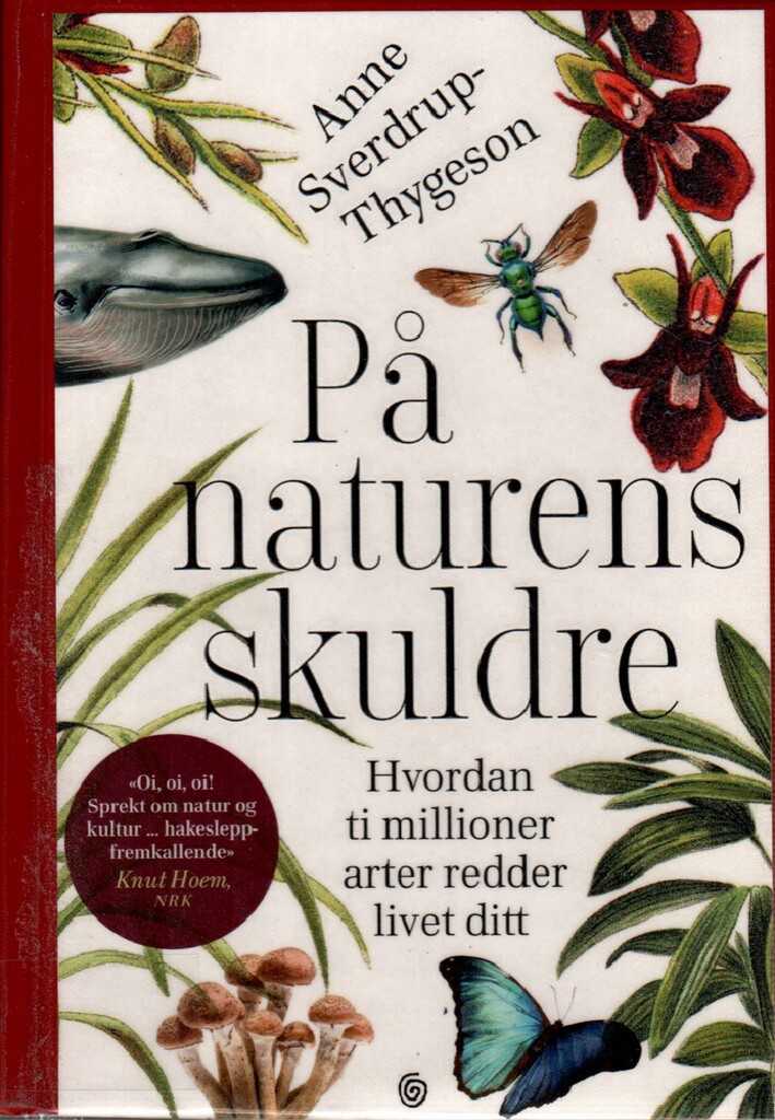 Forsidebilde