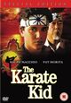 Omslagsbilde:The Karate kid : sannhetens øyeblikk