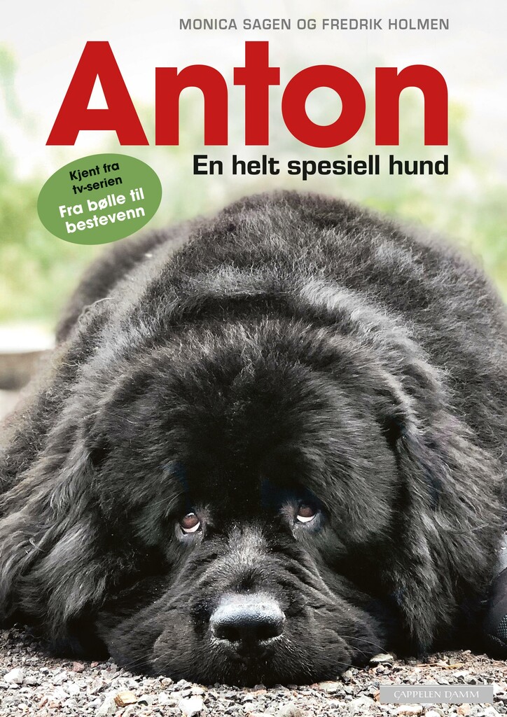 Anton - en helt spesiell hund